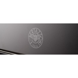 Духовой шкаф Bertazzoni F6011MODPLC/23