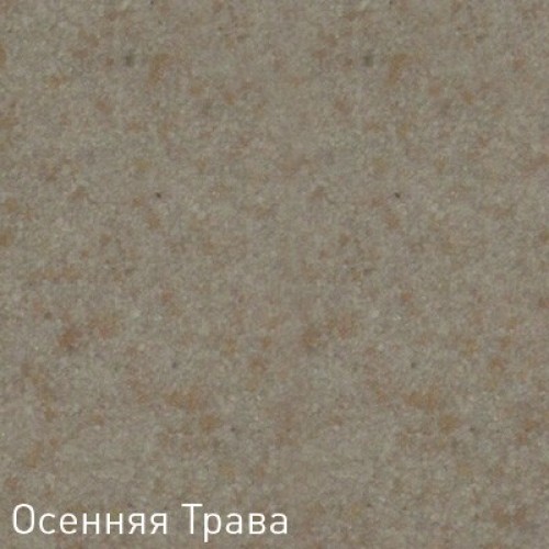 Кухонная мойка Zigmund & Shtain Rechteck 600.2 осенняя трава