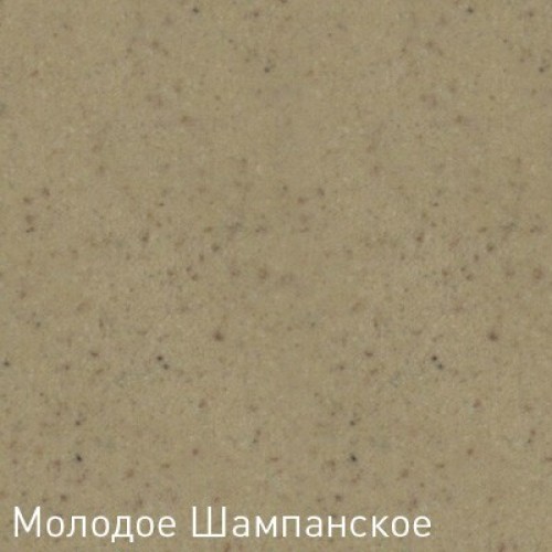 Кухонная мойка Zigmund & Shtain ECKIG 900 молодое шампанское