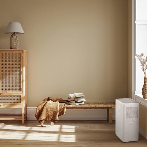 Мобильный кондиционер Electrolux EACM-07 XN/N6 купить в Москве и Санкт-Петербурге