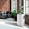 Мобильный кондиционер Electrolux EACM-15 CL/N3 купить в Москве и Санкт-Петербурге