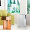 Мобильный кондиционер Electrolux EACM-15 CL/N3 купить в Москве и Санкт-Петербурге