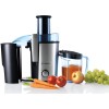 Соковыжималка Bosch MES3500 купить в Москве и Санкт-Петербурге