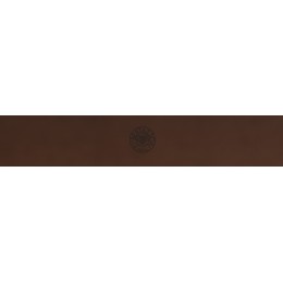 Духовой шкаф Bertazzoni F457MODMWTC