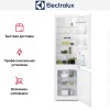 Встраиваемый холодильник Electrolux RNT3FF18S