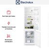 Встраиваемый холодильник Electrolux RNT3LF18S