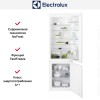 Встраиваемый холодильник Electrolux RNT6TF18S1