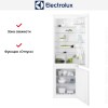 Встраиваемый холодильник Electrolux RNT6TF18S1