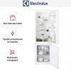 Встраиваемый холодильник Electrolux RNT6TF18S1