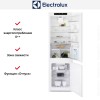 Встраиваемый холодильник Electrolux RNT8TE18S