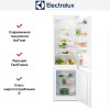 Встраиваемый холодильник Electrolux ENT6NE18S