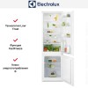 Встраиваемый холодильник Electrolux LNS5LE18S