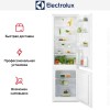 Встраиваемый холодильник Electrolux LNS5LE18S