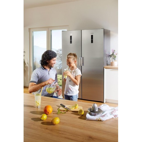 Однокамерный холодильник Gorenje R 6192 LX