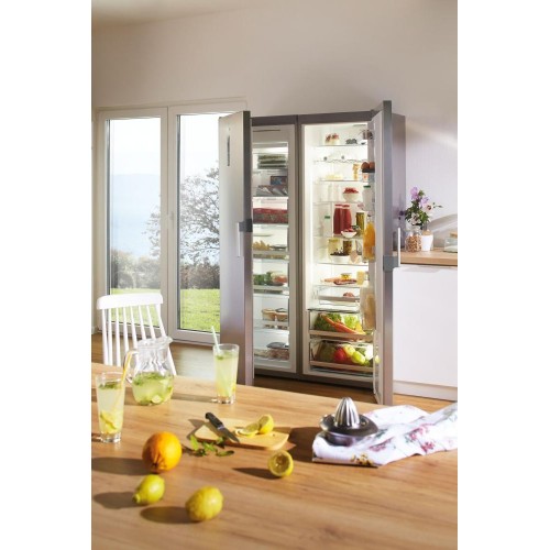 Однокамерный холодильник Gorenje R 6192 LX