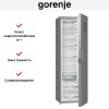 Однокамерный холодильник Gorenje R 6192 LX