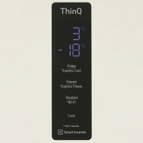 Холодильник LG GC-B509MEWM