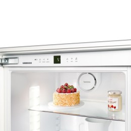 Холодильник Liebherr IK 2760