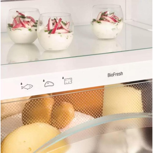 Холодильник Liebherr IKB 3524