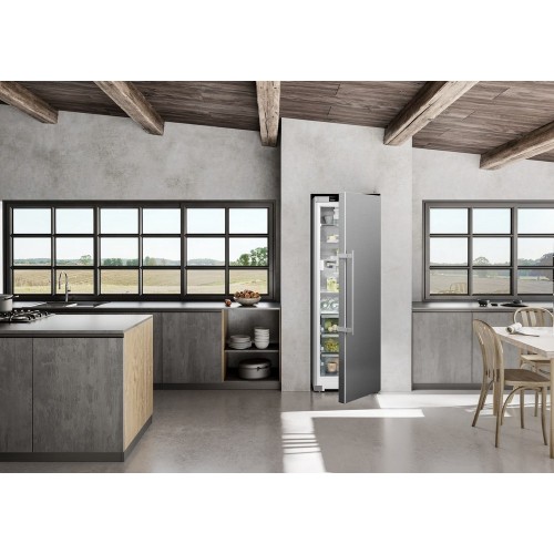 Холодильник Liebherr RBsdd 5250