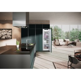 Встраиваемая морозильная камера Liebherr SIFNAe 5188 Peak