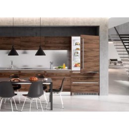 Встраиваемый холодильник Liebherr ECBN 6156 Premium Plus NoFrost