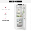 Холодильник Liebherr CBNc 5223