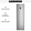 Холодильник Liebherr CBNSDC 573I