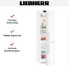 Холодильник Liebherr CN 4835