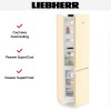 Холодильник Liebherr CNbed 5703