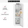Холодильник Liebherr CNd 5733