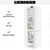 Холодильник Liebherr CNd 7723