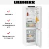 Холодильник Liebherr CNf 5203