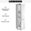 Холодильник Liebherr CNgwc 5723