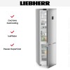 Холодильник Liebherr CNsfc 574i