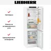 Холодильник Liebherr CNsff 5203