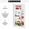 Холодильник Liebherr CTe 2931