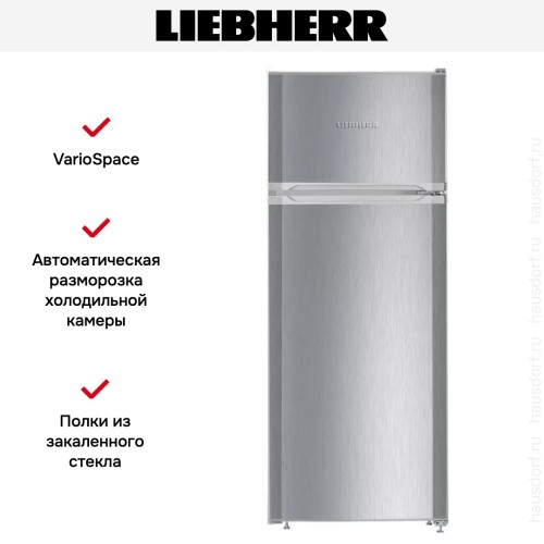 Холодильник Liebherr CTele 2531