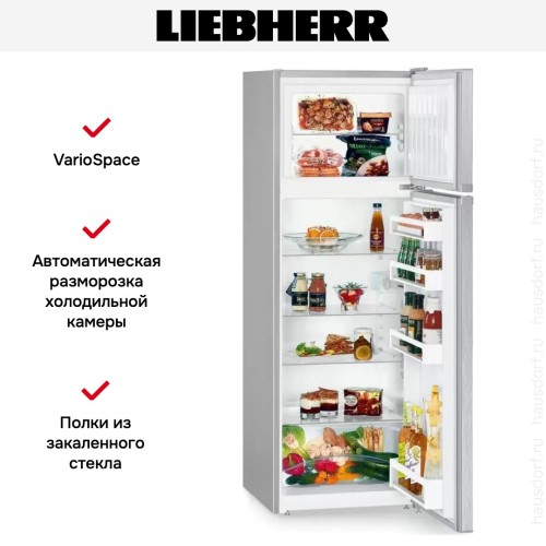 Холодильник Liebherr CTele 2931