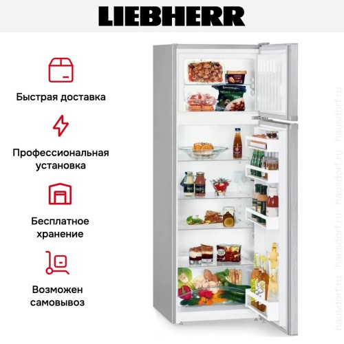 Холодильник Liebherr CTele 2931
