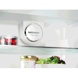 Холодильник Liebherr ICBN 3324