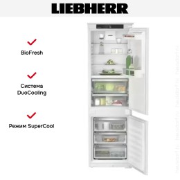Холодильник Liebherr ICBNSe 5123 Plus