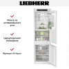 Холодильник Liebherr ICBNSe 5123 Plus