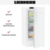 Холодильник Liebherr RBa 4250
