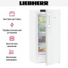 Холодильник Liebherr RBa 4250