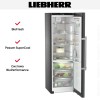 Холодильник Liebherr RBbsc 5250