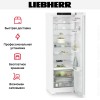 Холодильник Liebherr RBc 5220 Plus