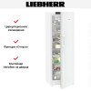 Холодильник Liebherr RBd5250