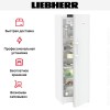 Холодильник Liebherr RBd5250