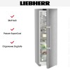 Холодильник Liebherr RBsdd 5250